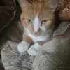 lorileigh479 - @lorileigh479 - TikTok