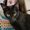 Lorileigh - @llorileigh - TikTok