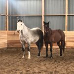 Lori Lemay - @booyah_and_earl - Instagram