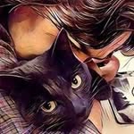 Lori Lieberman - @lalhas3cats - Instagram