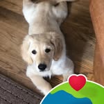 Lori Lien Loberg - @lolo1817 - Instagram