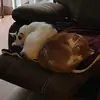 Lori Light - @lori.light3 - TikTok