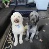 lori - @lori.lightt - TikTok