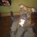 Loretta Lineberry - @littlemama5 - Instagram