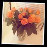 Lori Lineberry - @lori.lineberry1683 - Instagram