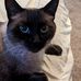 Laurie Link - Facebook