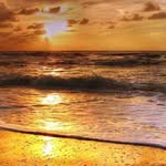 Lori Link - @lorilink77 - Instagram