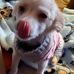 Lori Lockard - Facebook