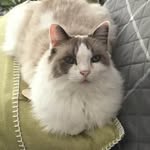 Lori Shuttleworth Loewen - @laloewen - Instagram