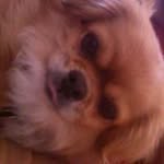 Lori Garcia - @lori_garcia_lofton - Instagram