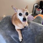 Lori Lomax Hendrix - @deebsandbelle - Instagram