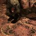 Lori Lowell - Facebook