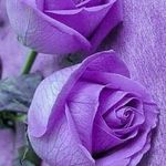 Lori Lowell - @lori.8477 - Instagram