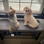 Lori Lowell Mac - @lmacphee11 - Instagram