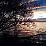 Lori Luttrell Fish - @loriluttrellfish - Instagram