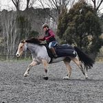 Lori Mackay - @fatponies_and_bonkerscats - Instagram