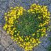 Lori MacNeil - Facebook