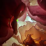 Lori Macneil - @macneil9692 - Instagram