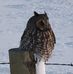 Lori Bowman Madsen - Facebook