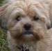 Lori Magoon - Facebook