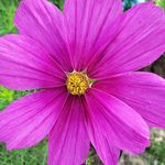 Lori Magoon - @magoonlori - Instagram