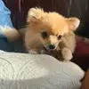 lori - @lori.main.1 - TikTok