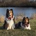 Lori Malin - Facebook