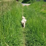 Piotr Rachwał - @swiat_lori_i_maliny - Instagram