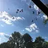 lorimalloyfelix - @lori.malloy.felix - TikTok