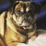 Lori Manuel - @lori_manuel.8 - Instagram