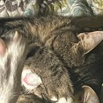 Lori Manuel - @lomanu3 - Instagram