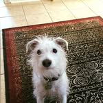 Lori Marlin - @lannmarlin - Instagram