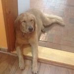 Lori Marriott - @lorimarriott0851 - Instagram