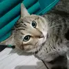 _iamlori - @lorimars - TikTok
