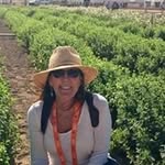 Lori Marschall - @lorimarschall - Instagram
