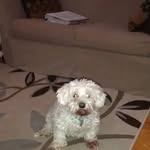 Lori Marshall - @lori.marshall.562 - Instagram
