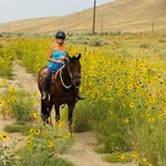 Lori Marsh - @lamarsh7 - Instagram