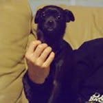 Lori Martindale - @lmartind04 - Instagram