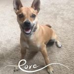 Lori Matson - @lorimarie930k - Instagram