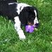Lori Matson - Facebook