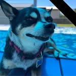 Lori Maxwell - @lorilmax - Instagram