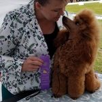 Lori Maxwell - @kameopoodles - Instagram