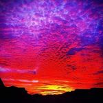Lori Maxwell - @lorimax68 - Instagram