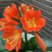 Laura McCallum - Facebook