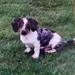 Lori McCallum Kephart - @2lqhs - Instagram