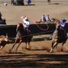 Lori McCallum Kephart - @lori.mccallum.kep - TikTok