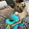 Lori McCloskey - @lori.mccloskey8 - TikTok