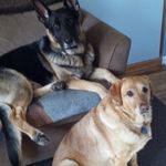 Lori McCloskey - @lorimccloskey74 - Instagram