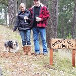 Lori McCormack - @lmccormack661 - Instagram