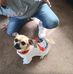 Lori McCue - Facebook